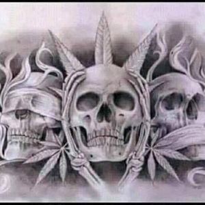 Meet your Posher, Cree